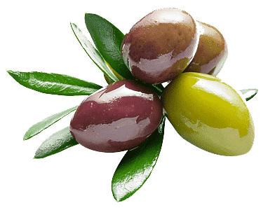 extra-virgin-olive-oil